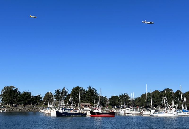 Veterans Day 2024 gallery 2